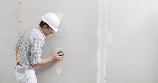 Best Wallpaper Removal and Painting  in Spring Lake, MI