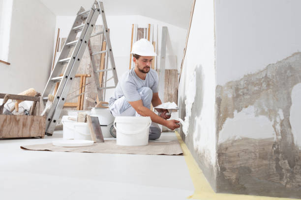 Best Residential Painting  in Spring Lake, MI